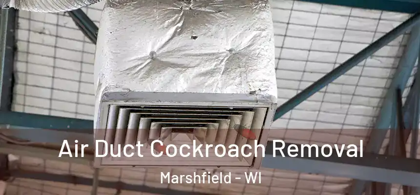 Air Duct Cockroach Removal Marshfield - WI