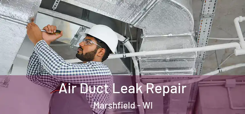  Air Duct Leak Repair Marshfield - WI