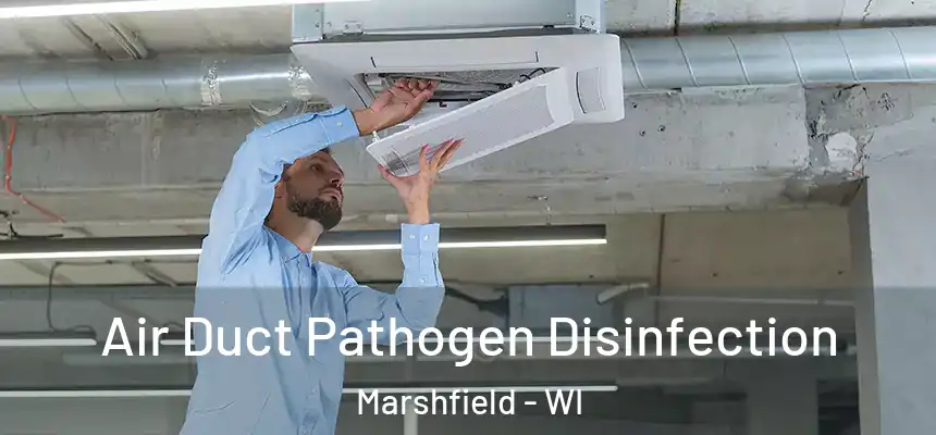  Air Duct Pathogen Disinfection Marshfield - WI