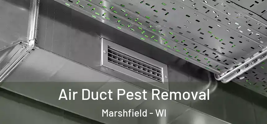  Air Duct Pest Removal Marshfield - WI