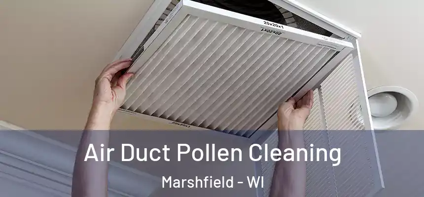  Air Duct Pollen Cleaning Marshfield - WI