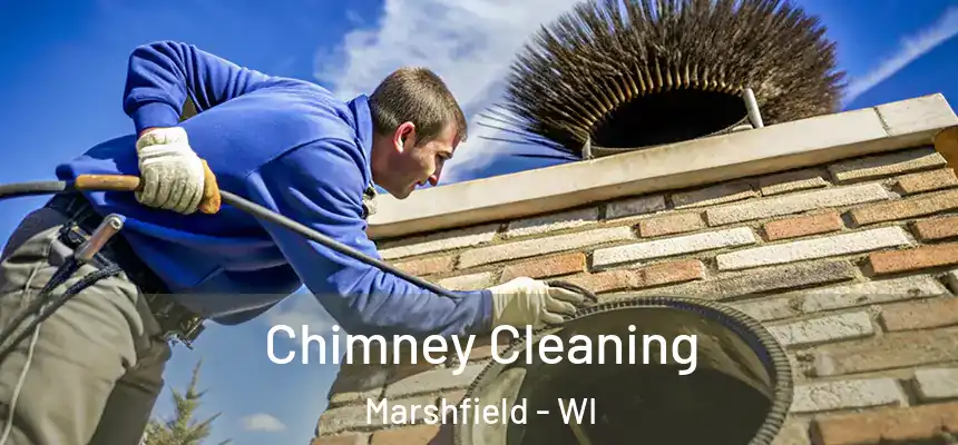  Chimney Cleaning Marshfield - WI
