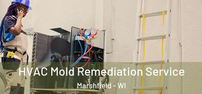  HVAC Mold Remediation Service Marshfield - WI