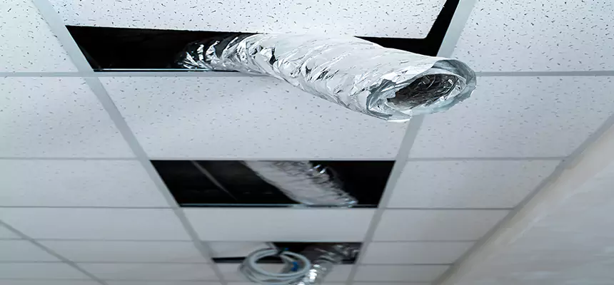 Our Air Duct Pet Hair Removal Services in Marshfield, WI