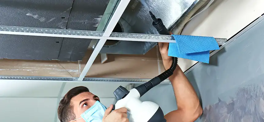 Our Air Duct Rodent Removal Services in Marshfield, WI