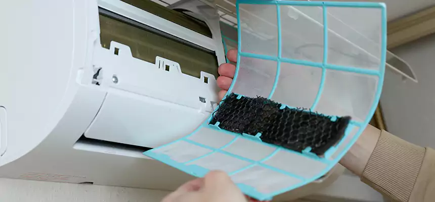 Gentle Ductwork Odor-Control Pet Dander Duct Cleaning in Marshfield, WI