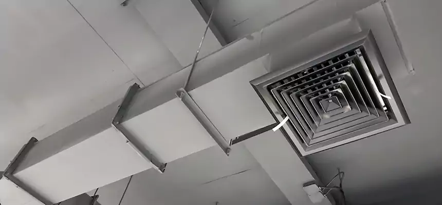 Our Rodent Droppings In Vents Services in Marshfield, WI