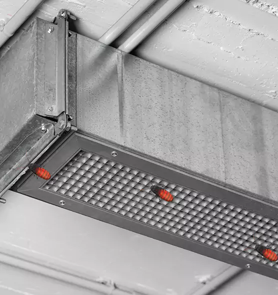 About Air Duct Cockroach Removal in Marshfield, WI