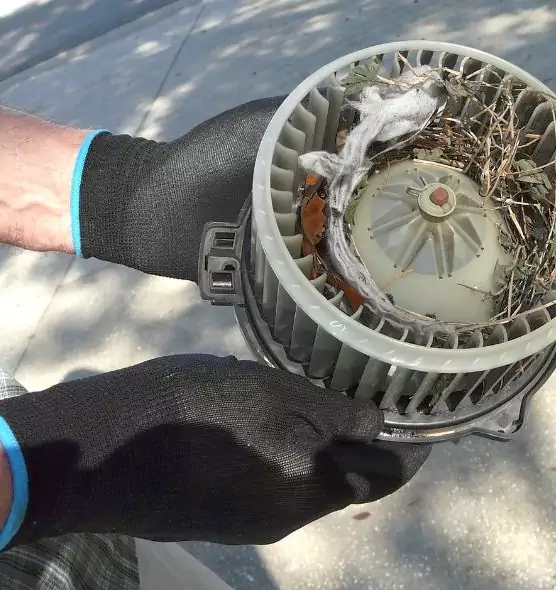 About Air Duct Mice Removal in Marshfield, WI