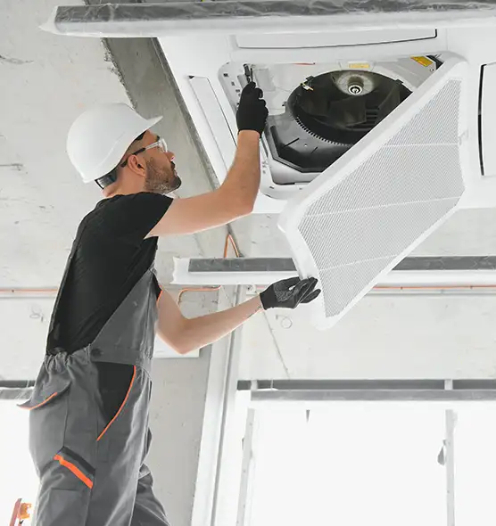 About Air Duct Rodent Removal in Marshfield, WI