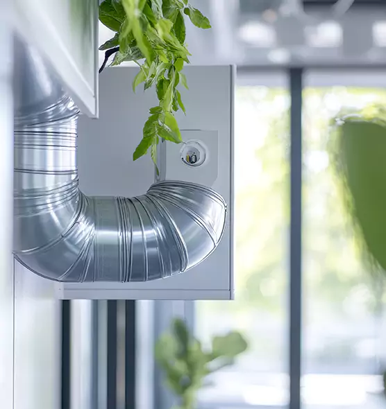 Professional Eco-Safe Dryer Vent Cleaning in Marshfield, WI