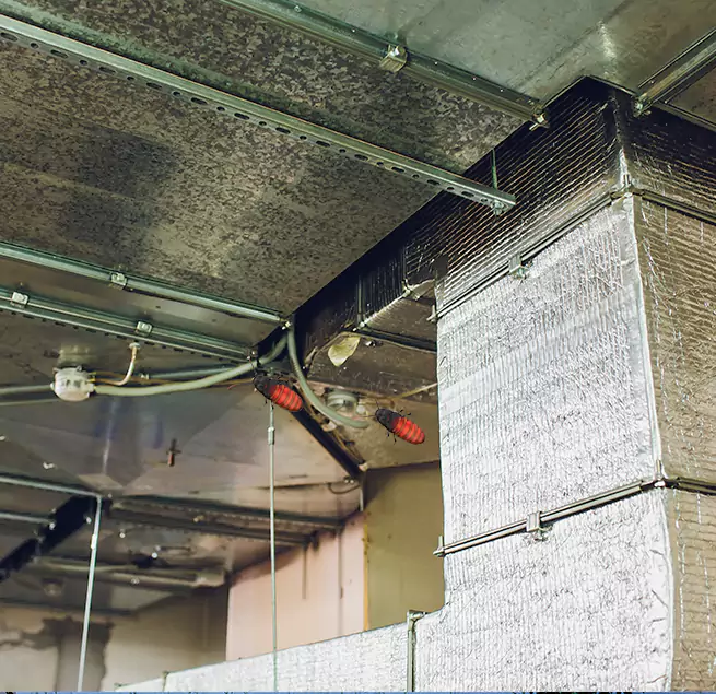 Why Homeowners & Businesses Trust Us in Marshfield, WI?