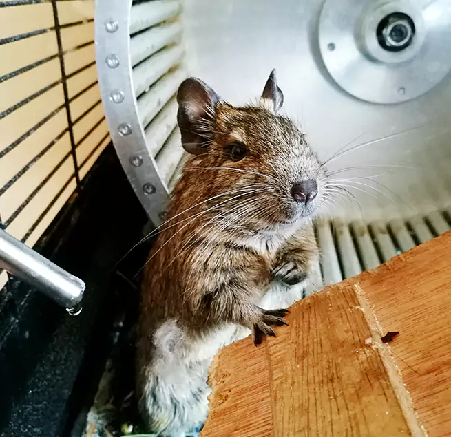 Why Homeowners & Businesses Trust Us Marshfield, WI?