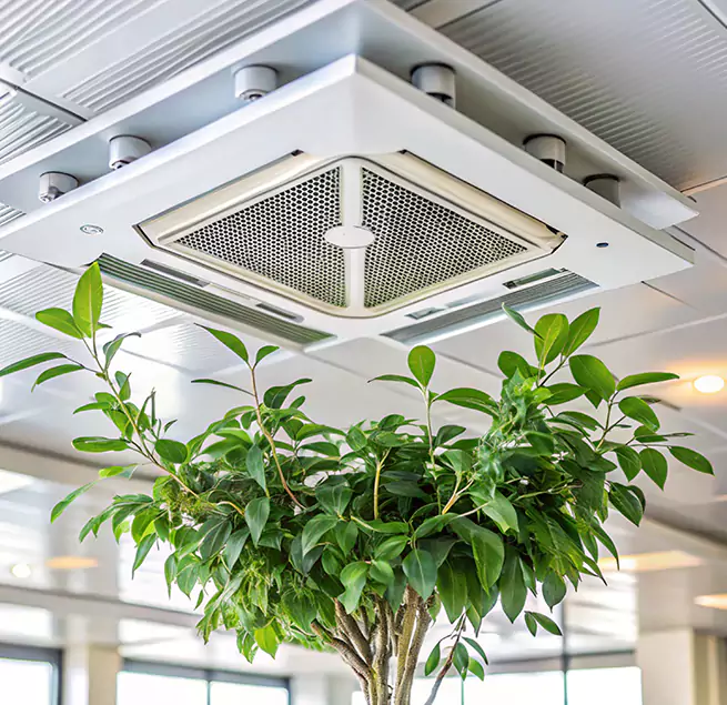 Why Homeowners & Businesses Trust Us in Marshfield, WI?