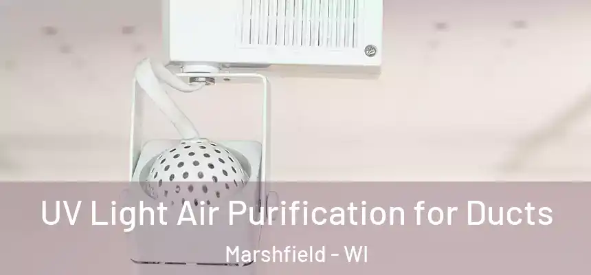  UV Light Air Purification for Ducts Marshfield - WI